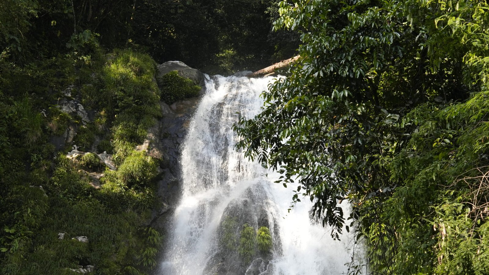 Cascada samaná