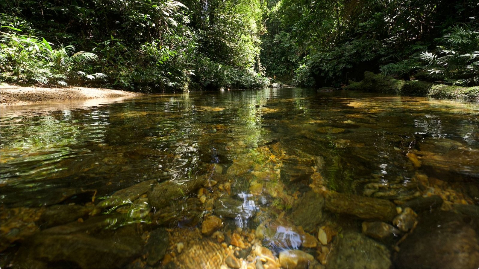 Panoramic view of the Colección Montés ecological refuge surrounded by nature, to disconnect and reconnect with unique experiences in Colombia