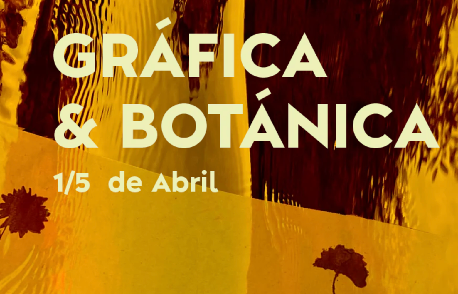 Taller de gráfica y botánica