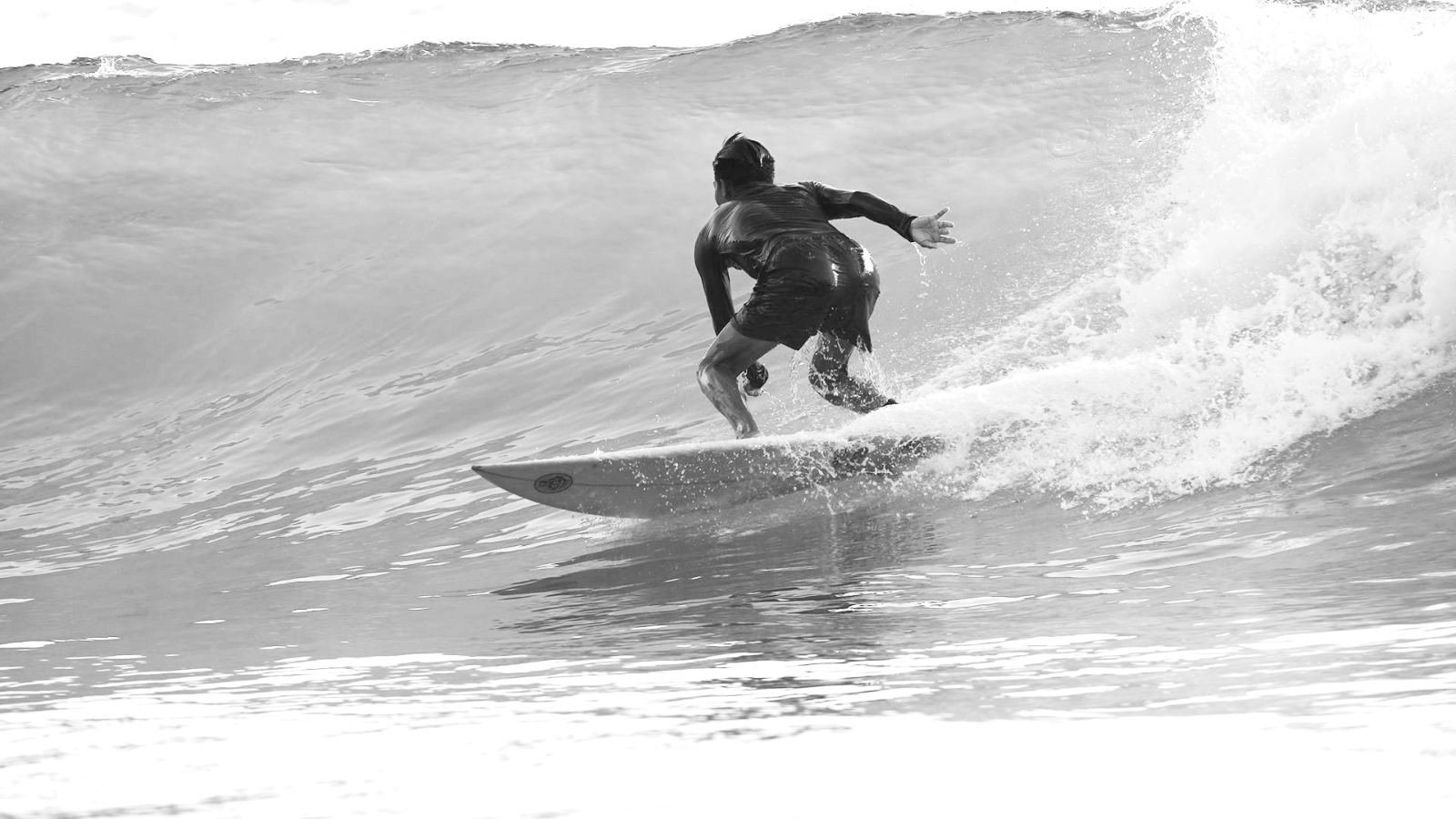 Surftrip